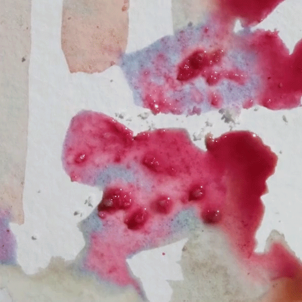 Timelapse video of homemade inks flowing across watercolor paper. Some yellow ink flows into a puddle of magenta, and wherever the two inks touch, the mixture turns a deep bluish green color.